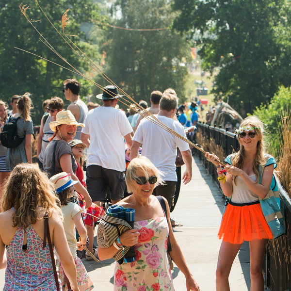 2014 Latitude Festival