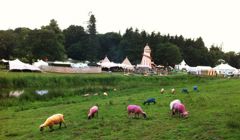 The Latitude sheep proudly showing off their festival stewarding uniforms 