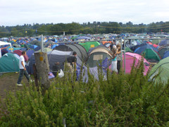 Reading2006