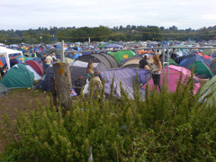 Reading2006