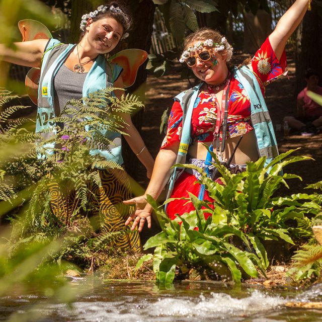 2014 Latitude Festival staff and volunteer info in PAAM!