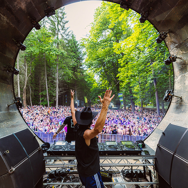 Forbidden Forest 2026 volunteer shift preference selection is open!